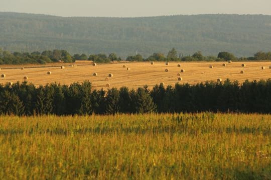 Landwirtschaft