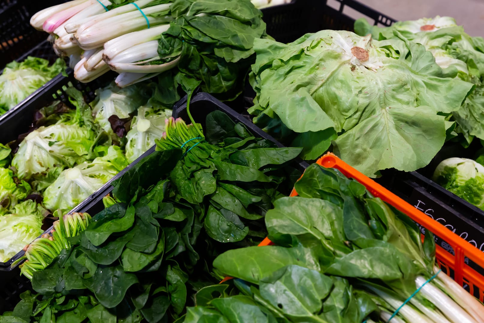 Gemüsetheke im Supermarkt: Mangold und Spinat enthalten viel Oxalsäure und können daher die Kalziumaufnahme bremsen.