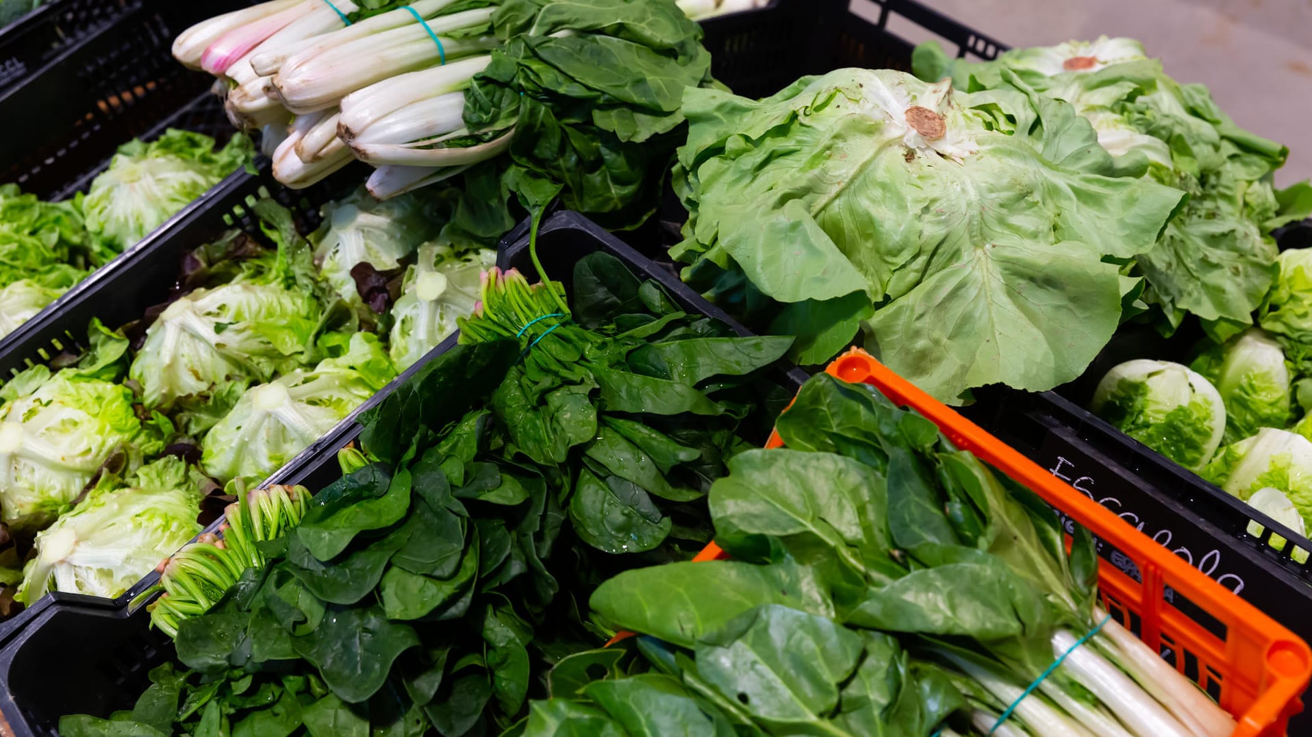 Gemüsetheke im Supermarkt: Mangold und Spinat enthalten viel Oxalsäure und können daher die Kalziumaufnahme bremsen.