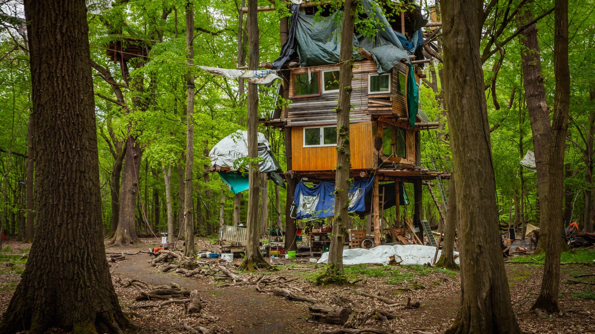 Baumhäuser der Kohlegegner im Hambacher Forst (Archivbild): Wegen angeblicher Brandschutzmaßnahmen wurden sie geräumt. Baumhäuser der Kohlegegner im Hambacher Forst (Archivbild): Wegen angeblicher Brandschutzmaßnahmen wurden sie geräumt.
