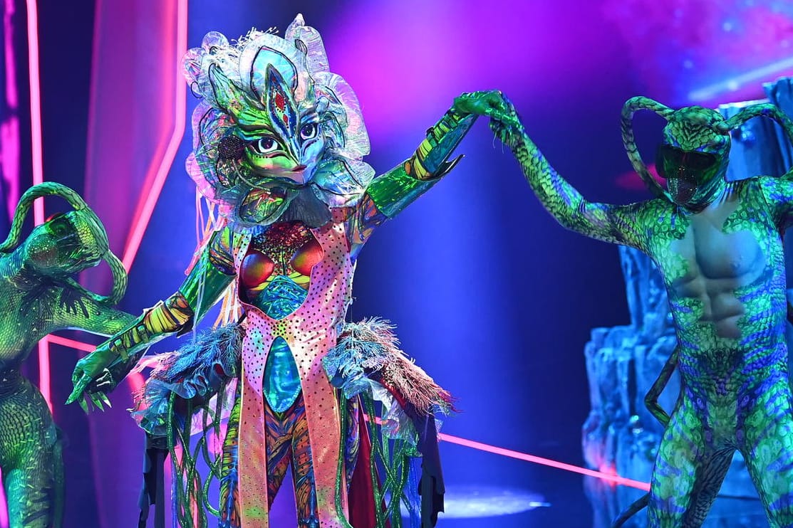 "The Masked Singer": Galax'Sis ist raus.