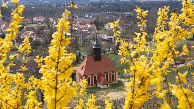 Frühling