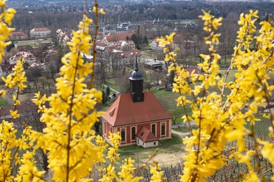 Frühling