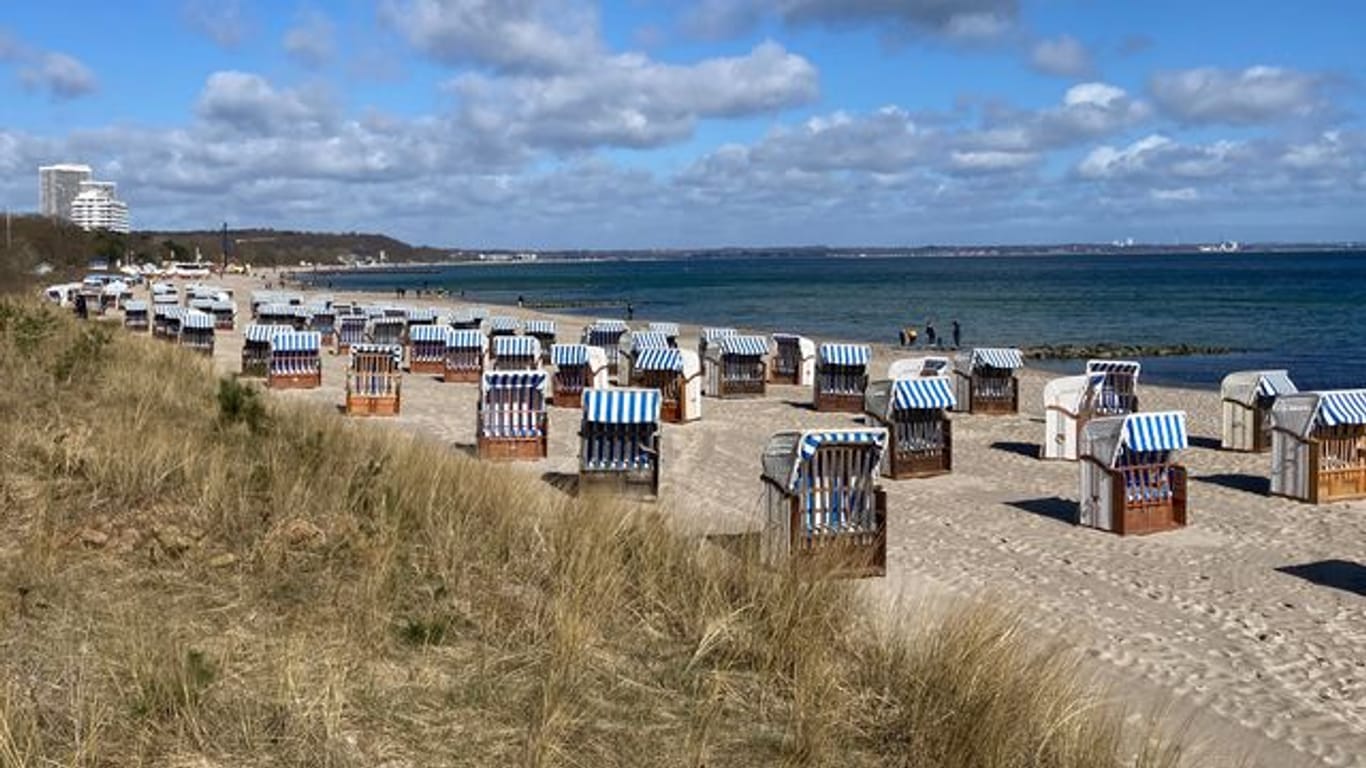 Strandkörbe stehen an einem Strand an der Ostsee