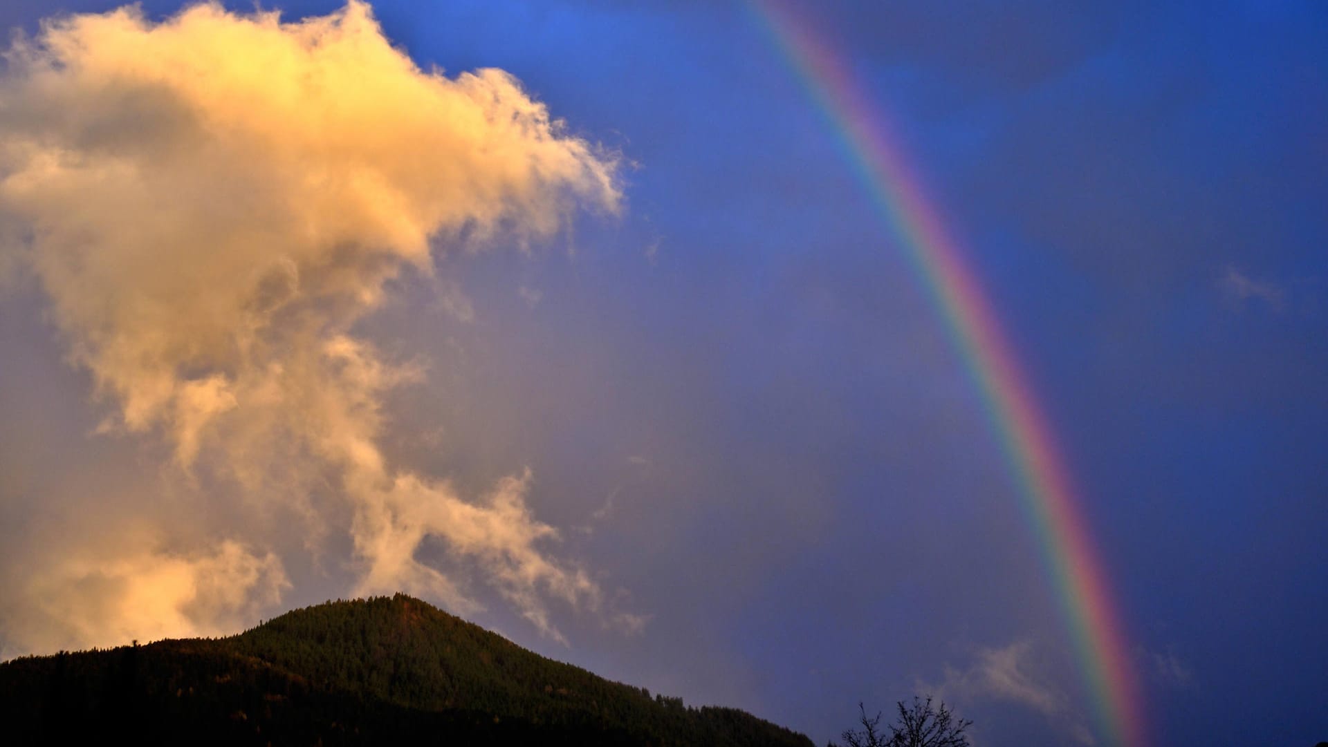 Ein Regenbogen nach einem Regenschauer (Archvibild): In der kommenden Woche erwartet Nordrhein-Westfalen Sonne, Regen und Frost. Ein Regenbogen nach einem Regenschauer (Archvibild): In der kommenden Woche erwartet Nordrhein-Westfalen Sonne, Regen und Frost.