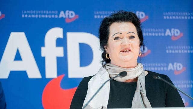 Birgit Bessin (AfD)