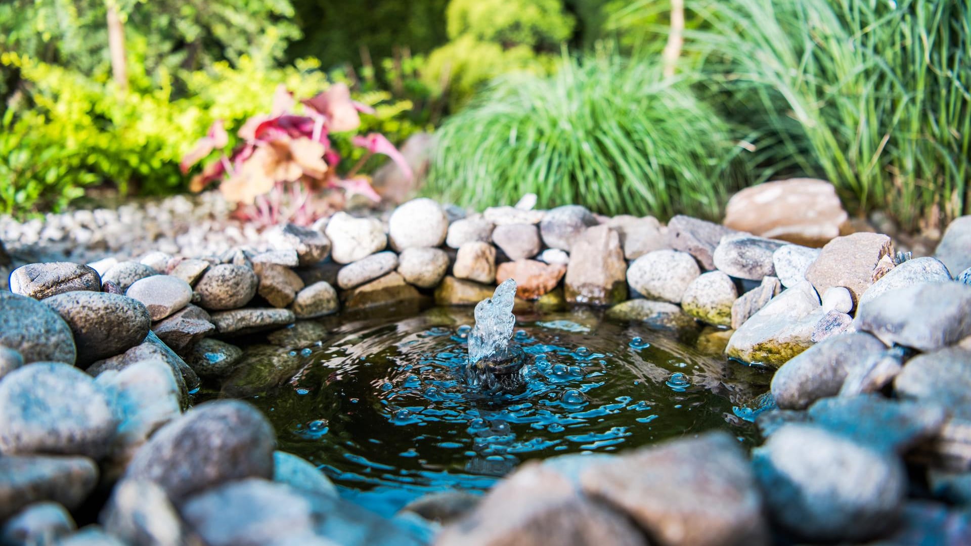 Diese Teichpumpen versorgen den Gartenteich mit ausreichend Sauerstoff.