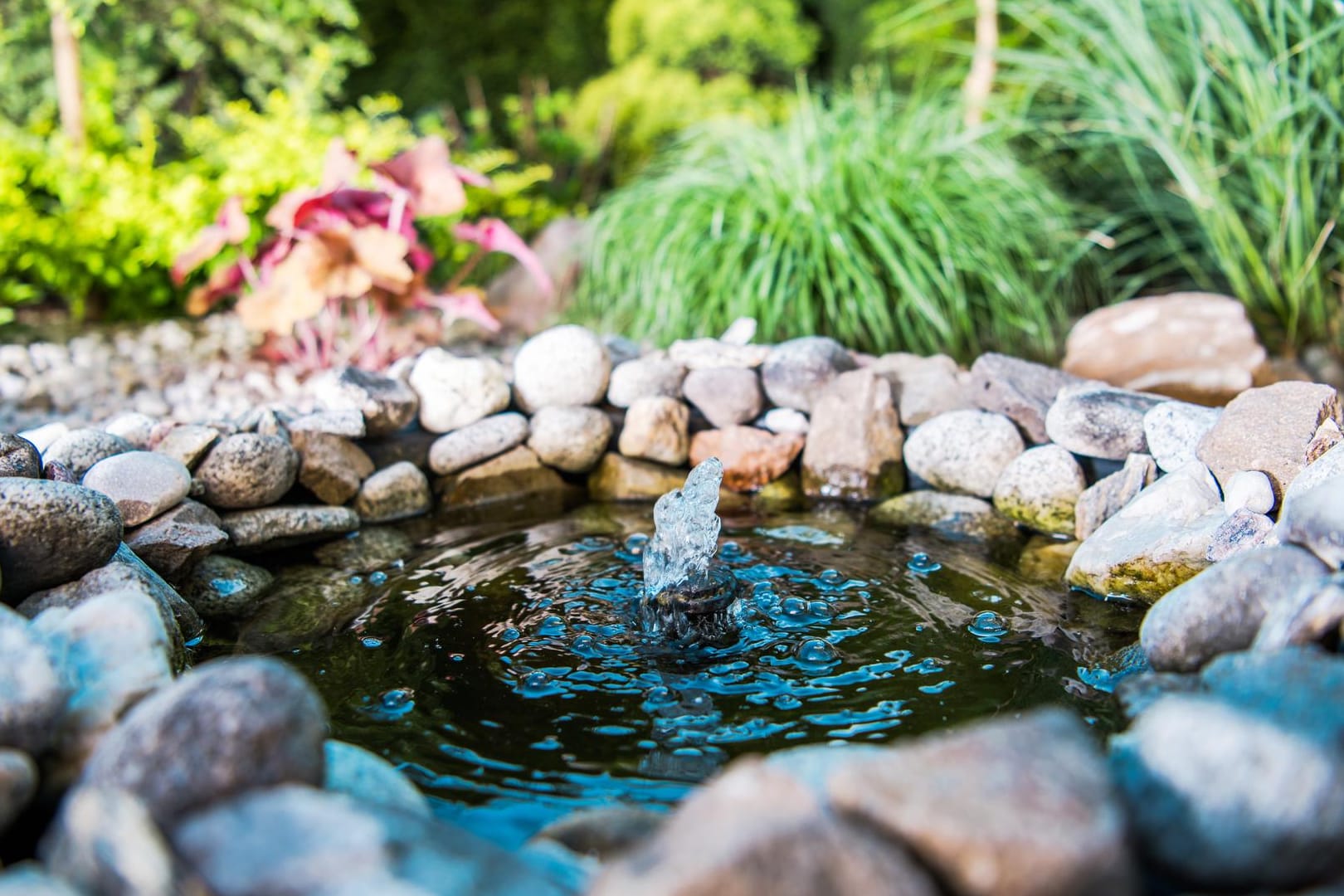 Diese Teichpumpen versorgen den Gartenteich mit ausreichend Sauerstoff.