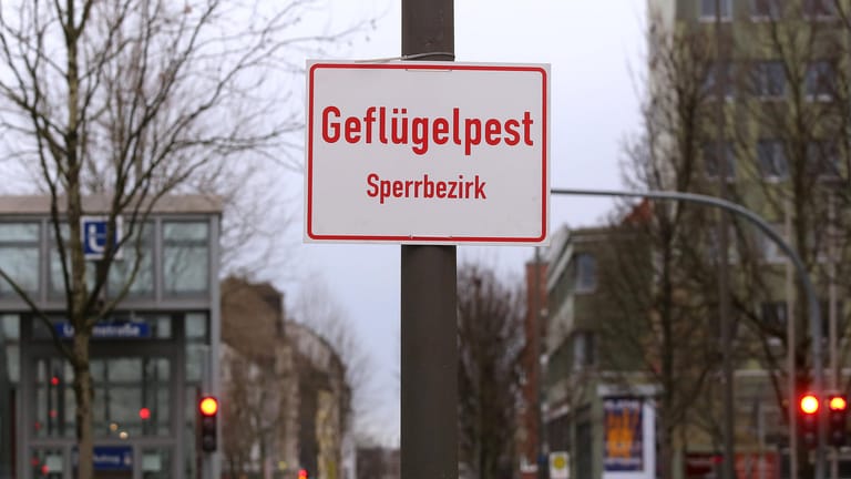 Ein Schild kennzeichnet den Beginn eines Geflügelpest-Sperrbezirks (Archivbild): "Beim Thema Geflügelpest kommen wir leider einfach nicht zur Ruhe", sagt Kreisdirektor Berensmeier.