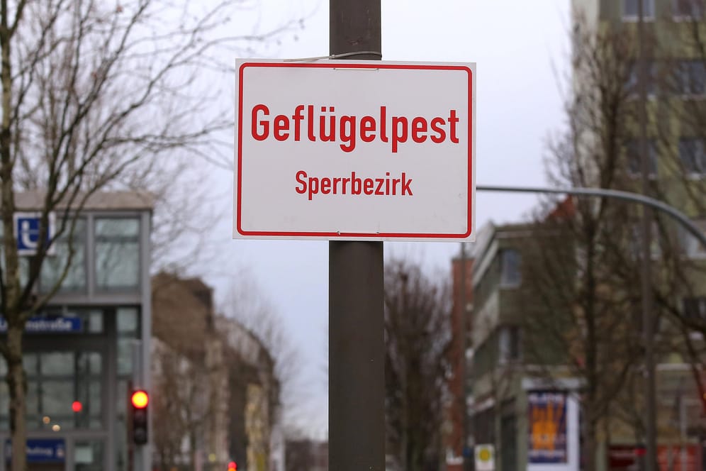 Ein Schild kennzeichnet den Beginn eines Geflügelpest-Sperrbezirks (Archivbild): "Beim Thema Geflügelpest kommen wir leider einfach nicht zur Ruhe", sagt Kreisdirektor Berensmeier.