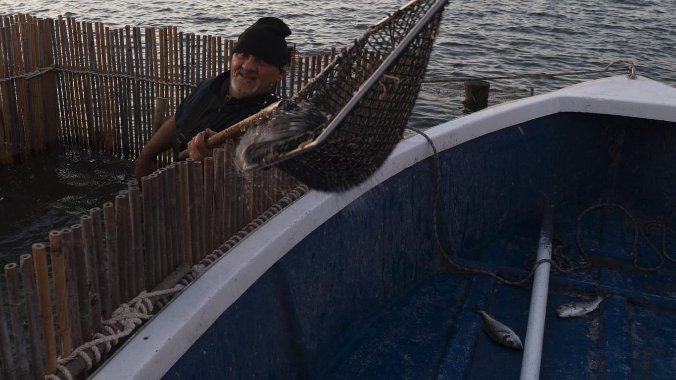Ein Fischer aus der Region Murcia kehrt fast ohne Fang zurück: Der katastrophale ökologische Zustand des Mar Menor ist für die Anwohner ein großes Problem. Auch die Urlauber werden weniger.