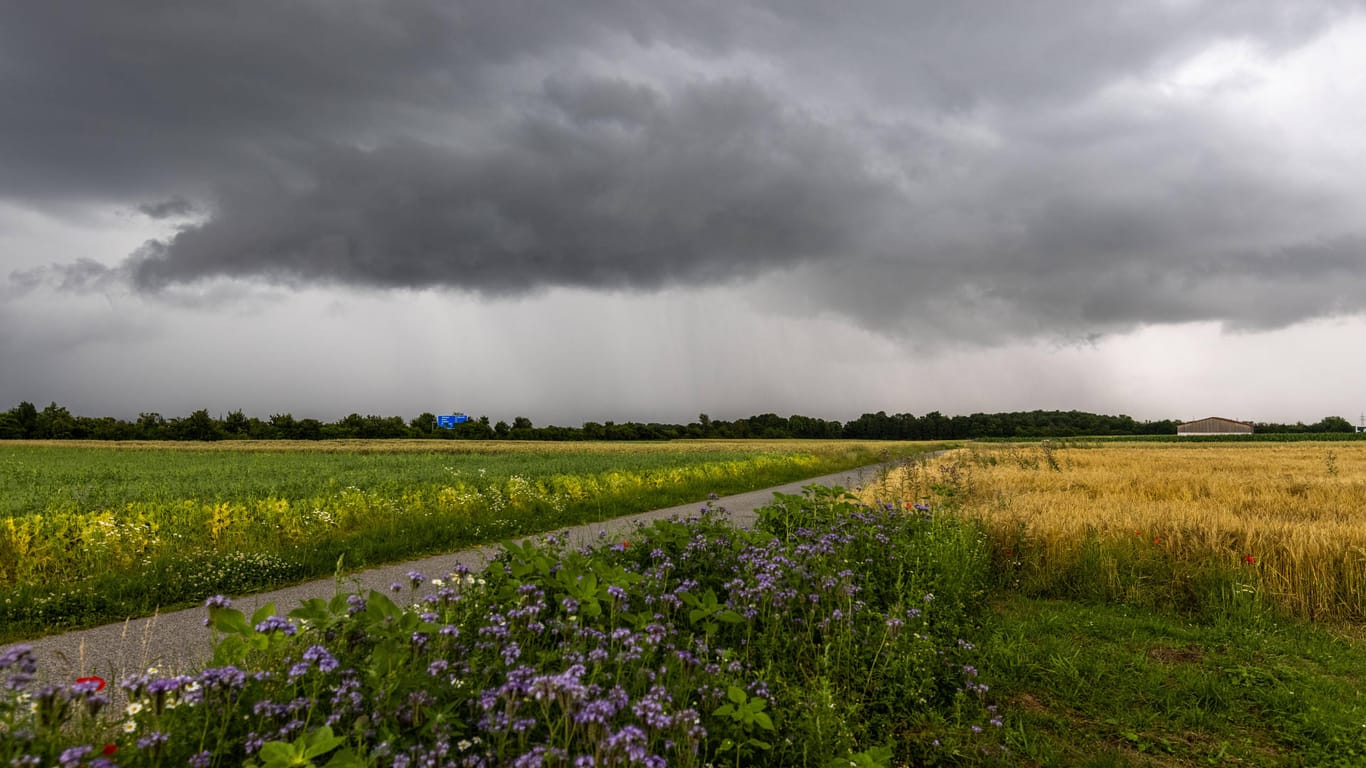 Dunkle Wolken eines Gewitters (Symbolbild): Im Norden kommt es vereinzelt zu Schauern und Gewittern.