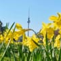Ausflugstipps: Das können Familien zu Ostern in Berlin unternehmen