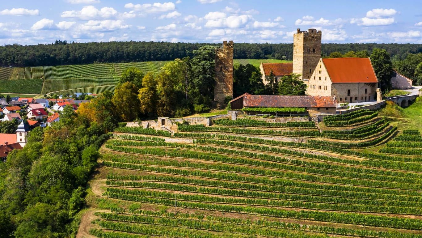 Burg Neipperg im Landkreis Heilbronn: Hier leben die Deutschen mit dem höchsten Einkommensdurchschnitt.