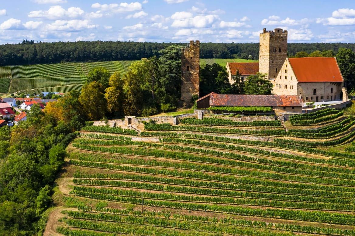 Burg Neipperg im Landkreis Heilbronn: Hier leben die Deutschen mit dem höchsten Einkommensdurchschnitt.