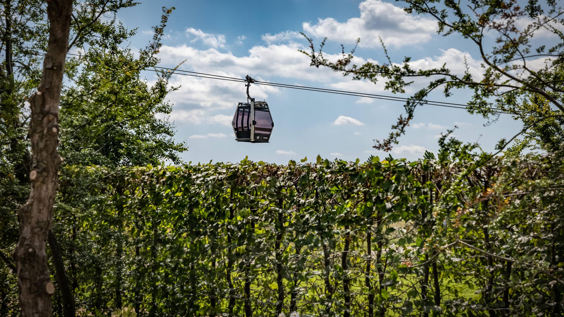 Eine Seilbahn über den Gärten der Welt in Berlin-Marzahn (Archivbild): Auch hier soll ein buntes Osterprogramm Besucher anlocken.