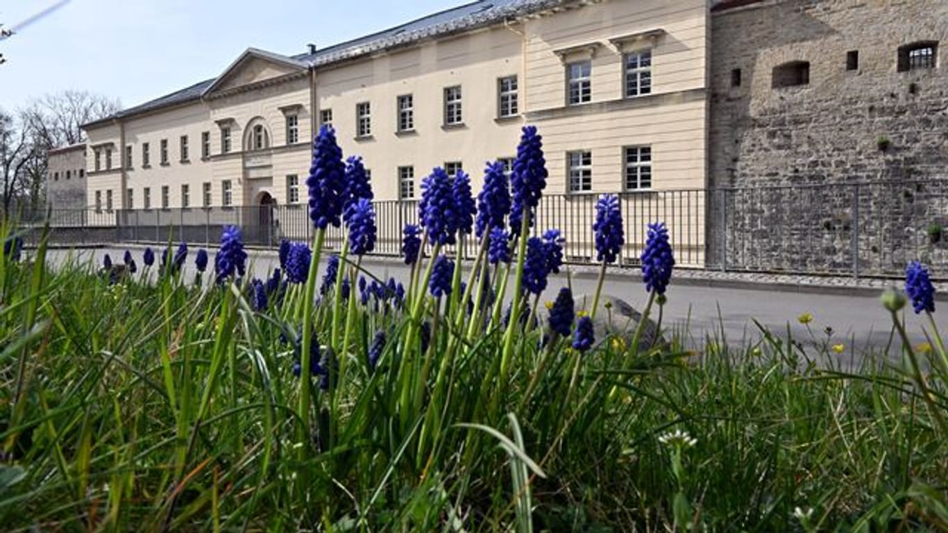 Deutsches Gartenbaumuseum