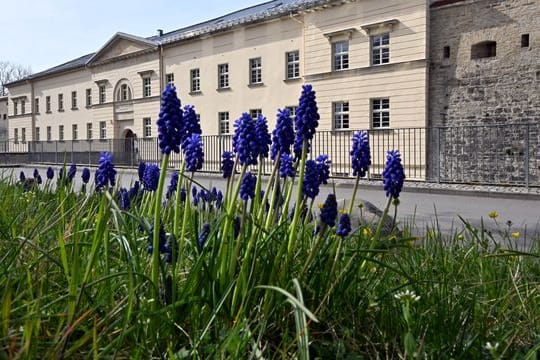 Deutsches Gartenbaumuseum