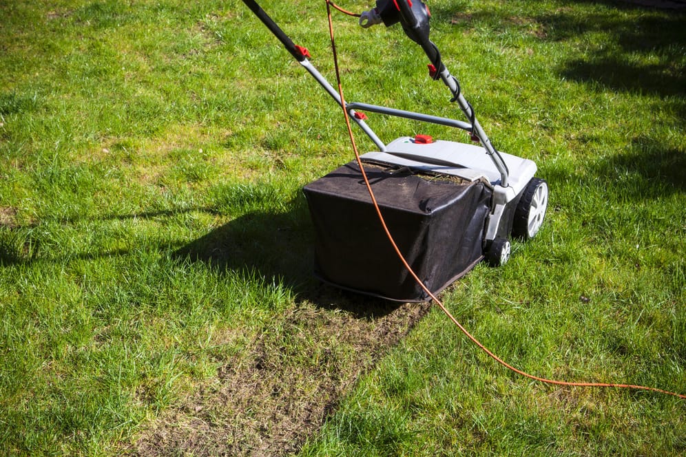 Fünf Modelle von Bosch, Wolf-Garten, Gardena und Co. im Vertikutierer-Vergleich.