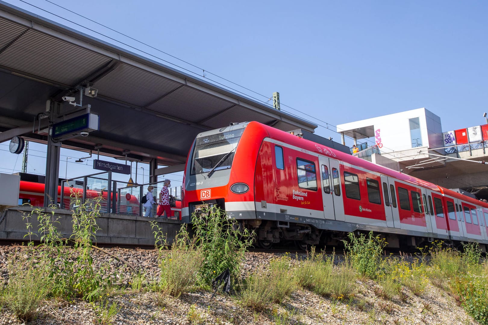 Eine S-Bahn am Bahnhof Hirschgarten in München (Archivbild): An Ostern 2022 ist die Stammstrecke in großen Teilen gesperrt.