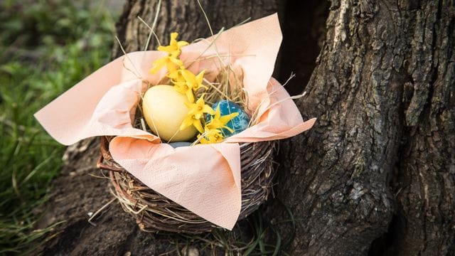 Wer mit hohen Cholesterinwerten zu kämpfen hat, sollte den Inhalt seines Osterkörbchens anpassen.