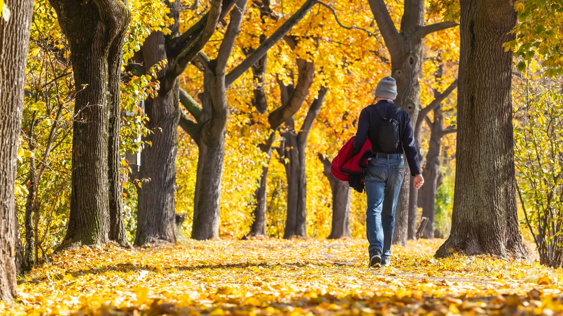 Herbstspaziergang (Symbolbild): Im kommenden Herbst könnte sich das Coronavirus wieder ähnlich ausbreiten wie noch 2020.