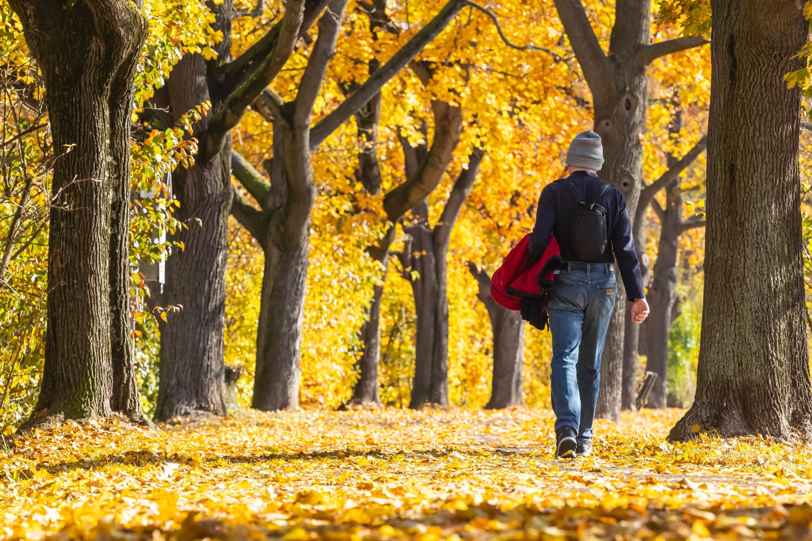 Herbstspaziergang (Symbolbild): Im kommenden Herbst könnte sich das Coronavirus wieder ähnlich ausbreiten wie noch 2020.