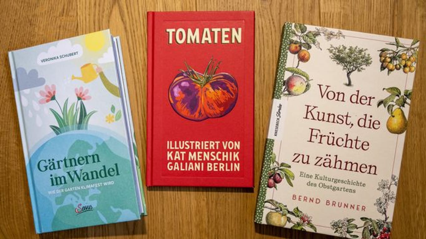 Drei Neuerscheinungen zum Thema Garten: Veronika Schubert mit "Gärtnern im Wandel", Kat Menschik ("Tomaten") und Bernd Brunner mit "Von der Kunst, die Früchte zu zähmen".
