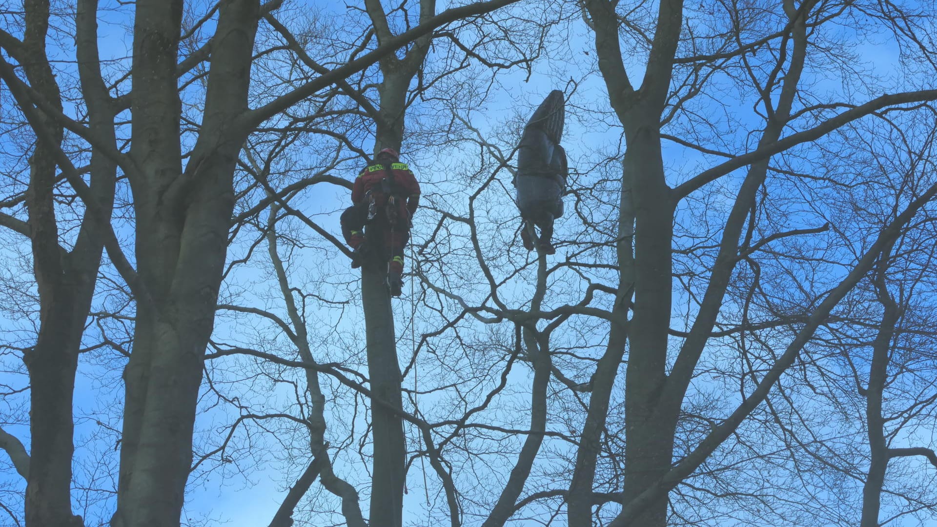 Ein Höhenretter der Feuerwehr Dortmund auf dem Weg zu einem verunglückten Gleitschirmflieger: Der Mann hing in 20 Metern Höhe fest.