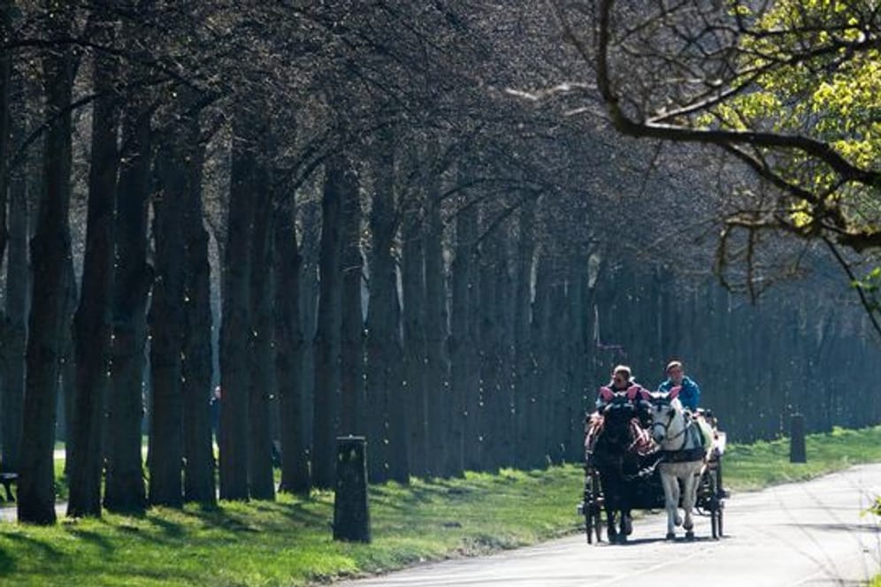 Frühling in Niedersachsen