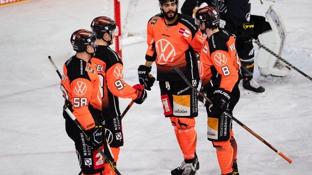 Grizzlys Wolfsburg