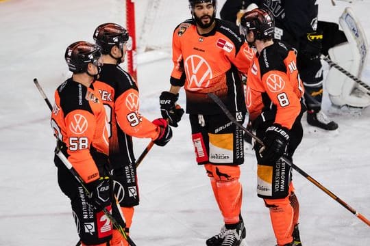 Grizzlys Wolfsburg