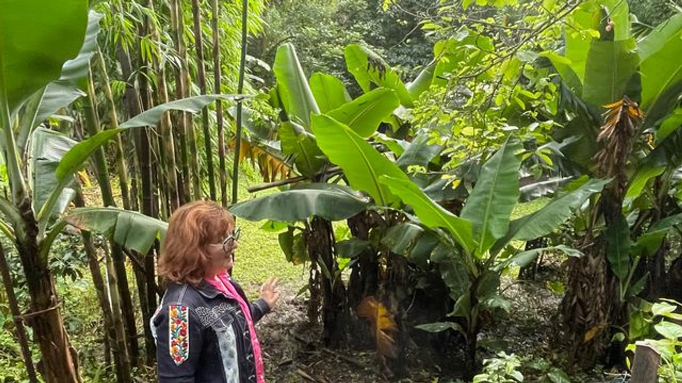 April Sampson-Kelly inmitten ihrer "Silk Farm": Der "Food Forest" oder Ernährungs-Garten wurde nach den Prinzipien der Permakultur-Lehre angelegt.