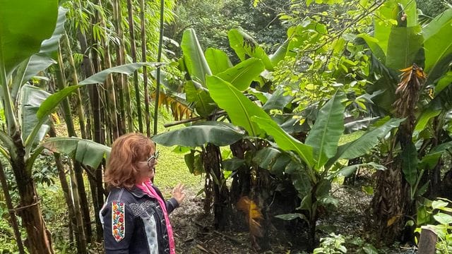 April Sampson-Kelly inmitten ihrer "Silk Farm": Der "Food Forest" oder Ernährungs-Garten wurde nach den Prinzipien der Permakultur-Lehre angelegt.