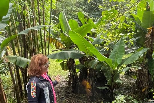 April Sampson-Kelly inmitten ihrer "Silk Farm": Der "Food Forest" oder Ernährungs-Garten wurde nach den Prinzipien der Permakultur-Lehre angelegt.