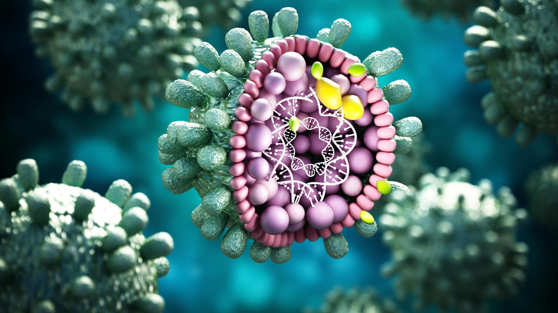 Ein Hepatitis-B-Virus: Keiner der bekannten Erreger konnte bei den rätselhaften Fällen bei Kindern nachgewiesen werden. Ein Hepatitis-B-Virus: Keiner der bekannten Erreger konnte bei den rätselhaften Fällen bei Kindern nachgewiesen werden.