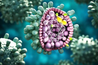 Ein Hepatitis-B-Virus: Keiner der bekannten Erreger konnte bei den rätselhaften Fällen bei Kindern nachgewiesen werden.