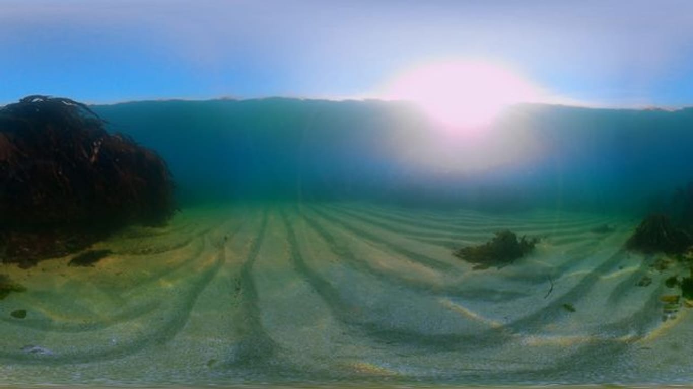 360-Grad-Unterwasserwelt