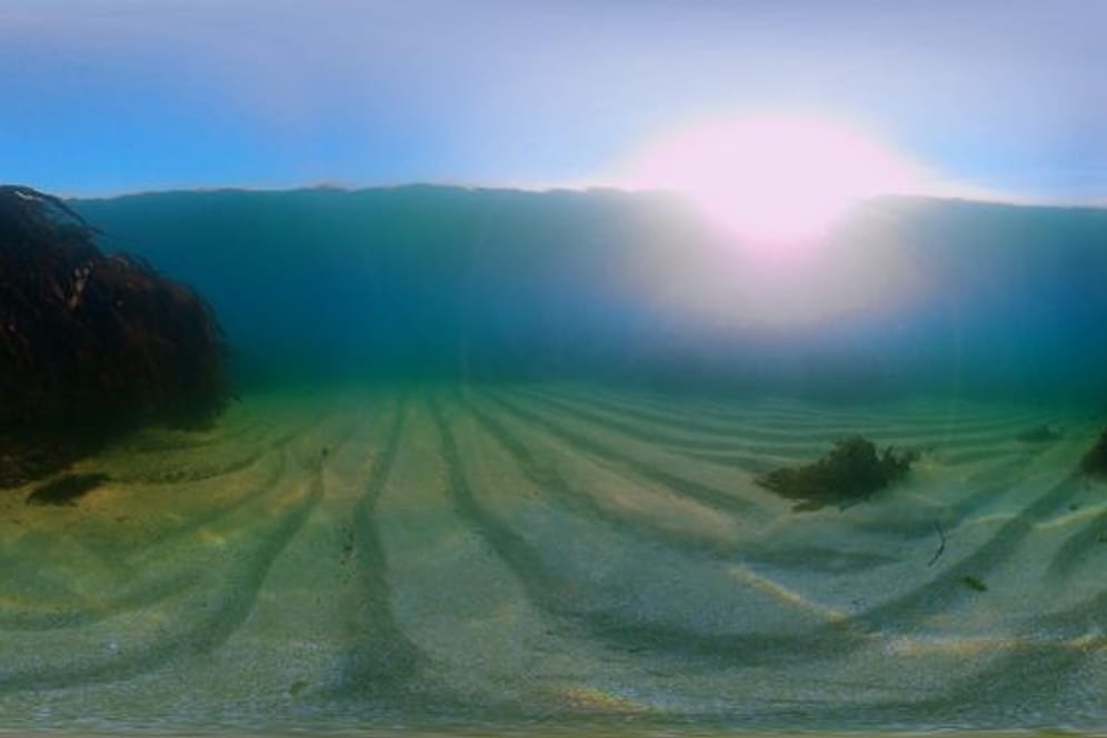360-Grad-Unterwasserwelt