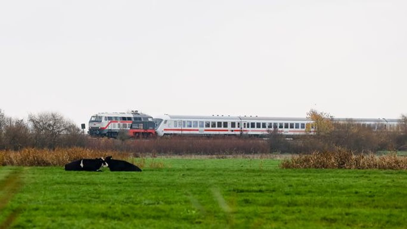 Ein Inter-City-Zug fährt auf der Marschbahnstrecke in Richtung Westerland (Archivbild): Auf der Strecke werden die Gleise erneuert.