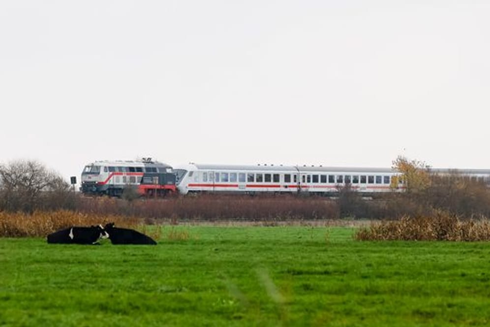 Ein Inter-City-Zug fährt auf der Marschbahnstrecke in Richtung Westerland (Archivbild): Auf der Strecke werden die Gleise erneuert.