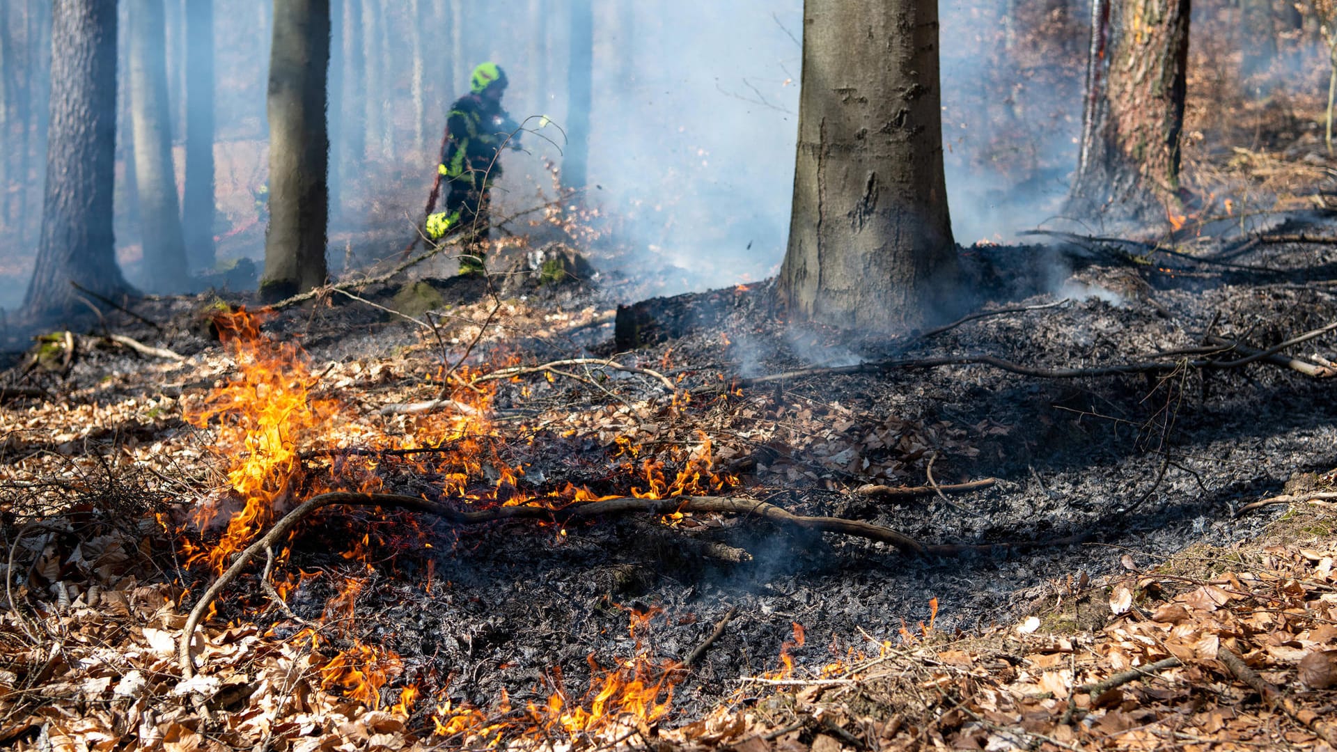 Einsatzkräfte löschen 2020 einen Waldbrand in Sachsen (Archivbild): Die Löschfahrzeuge hatten keinen Zugang zum Brandort.