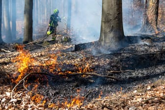 Einsatzkräfte löschen 2020 einen Waldbrand in Sachsen (Archivbild): Die Löschfahrzeuge hatten keinen Zugang zum Brandort.