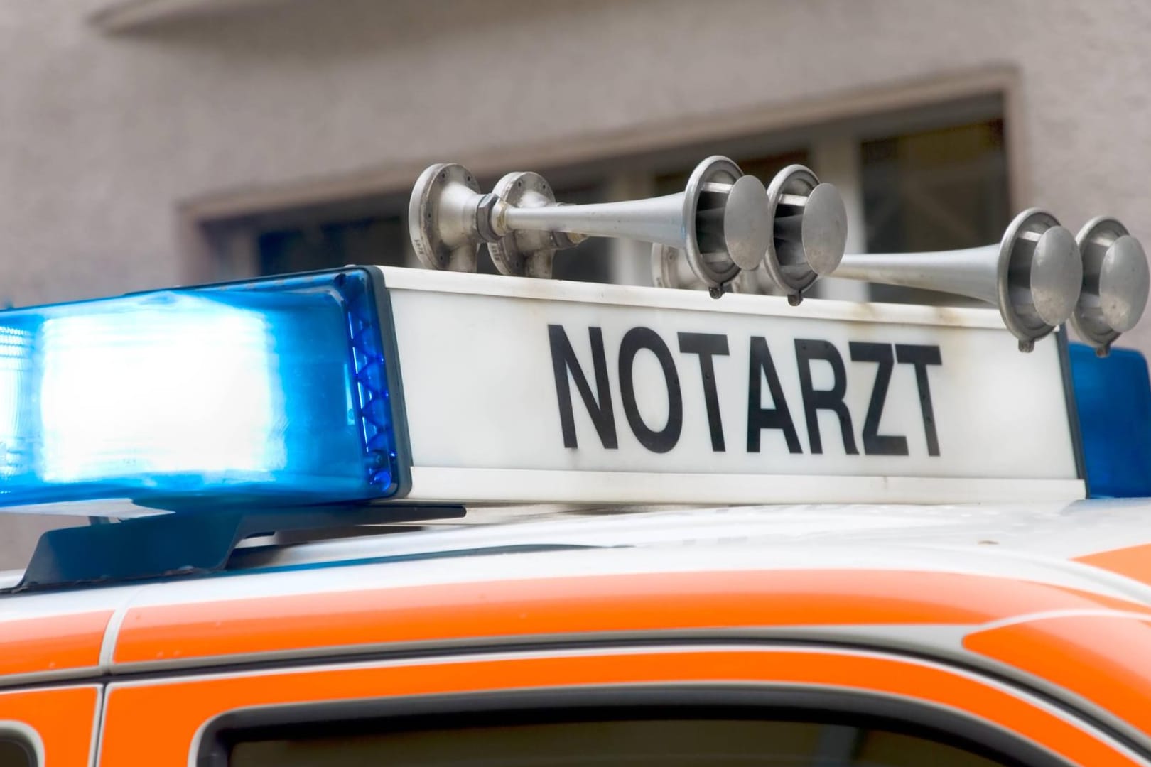 Notarztwagen mit Blaulicht (Symbolbild): Eine betrunkene Autofahrerin hat am Mittwoch einen schweren Unfall verursacht.