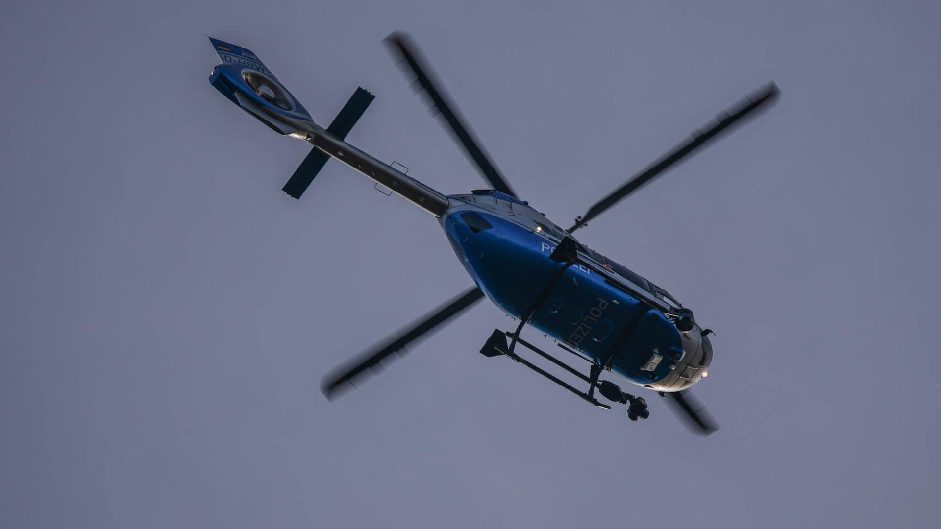 Ein Polizeihubschrauber im Einsatz (Symbolbild): Die Pferde flohen zwischenzeitlich durch einen Wald. Ein Polizeihubschrauber im Einsatz (Symbolbild): Die Pferde flohen zwischenzeitlich durch einen Wald.
