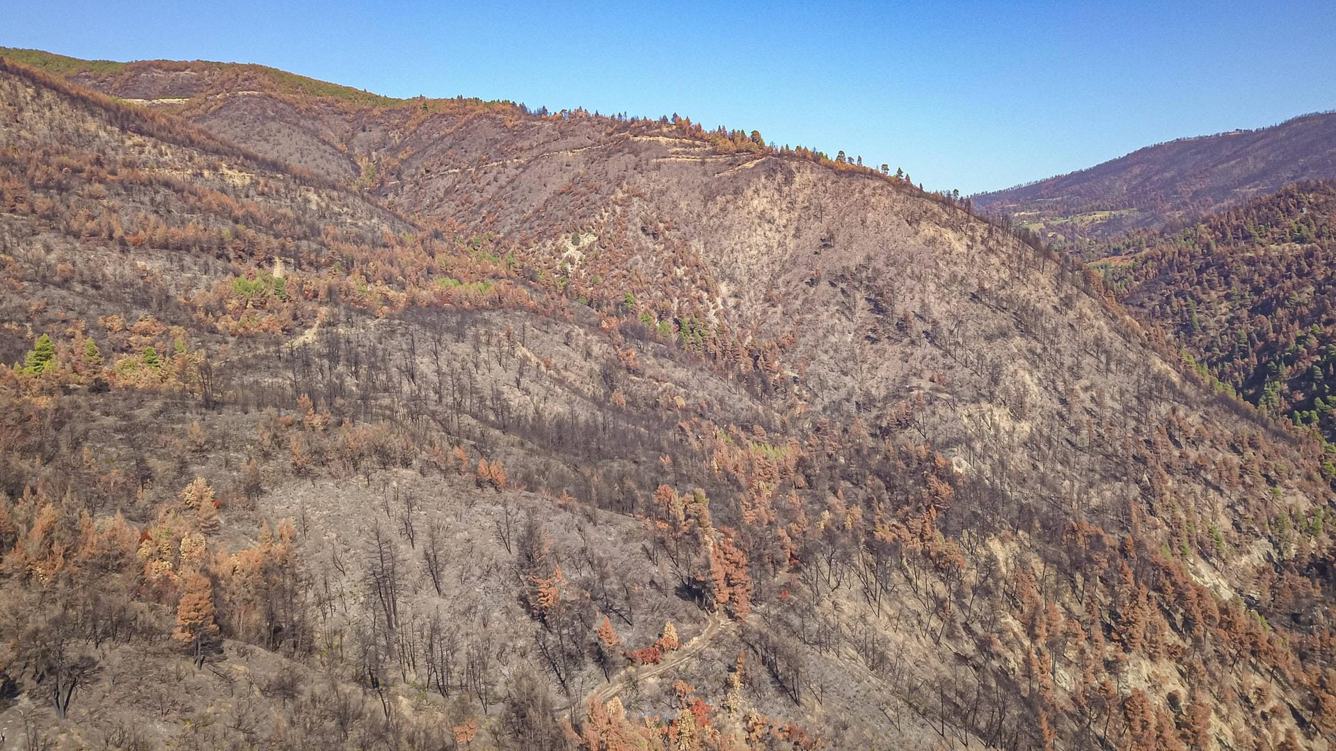 Verbrannte Erde: Waldbrände wie hier in Griechenland gab es vergangenes Jahr vor allem im Mittelmeerraum.