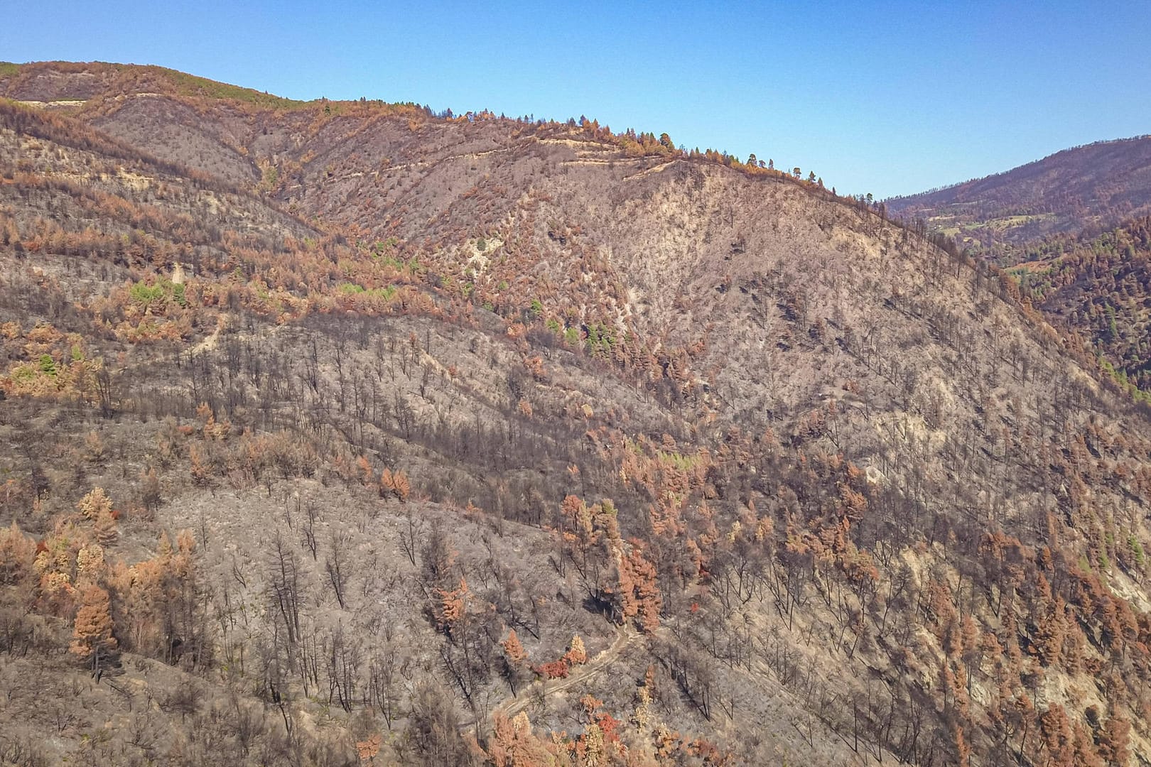 Verbrannte Erde: Waldbrände wie hier in Griechenland gab es vergangenes Jahr vor allem im Mittelmeerraum.