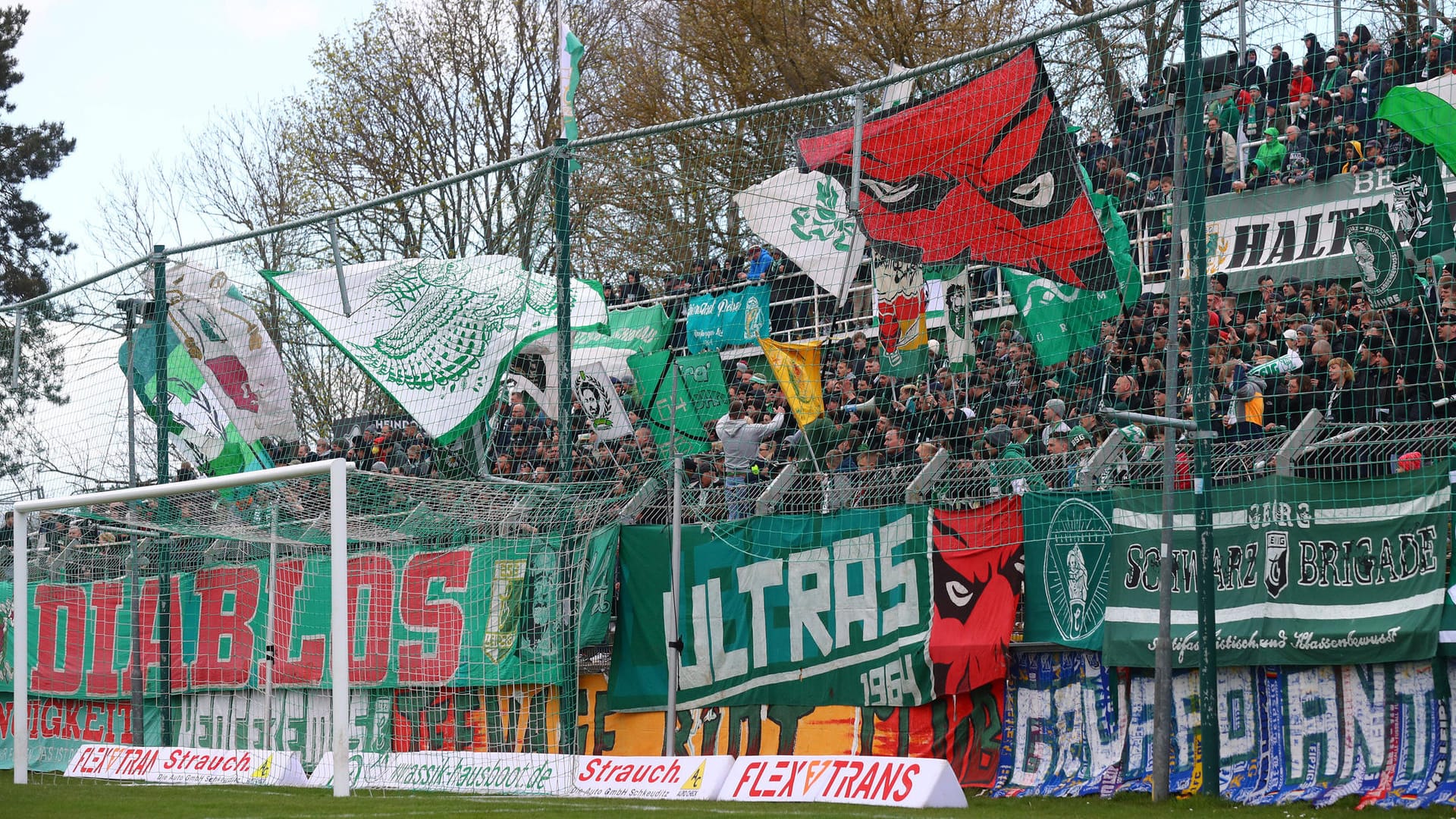 Chemie-Fans im Alfred-Kunze-Sportpark (Archivbild): Donnerstagabend musste die Polizei mehrfach einschreiten. Chemie-Fans im Alfred-Kunze-Sportpark (Archivbild): Donnerstagabend musste die Polizei mehrfach einschreiten.