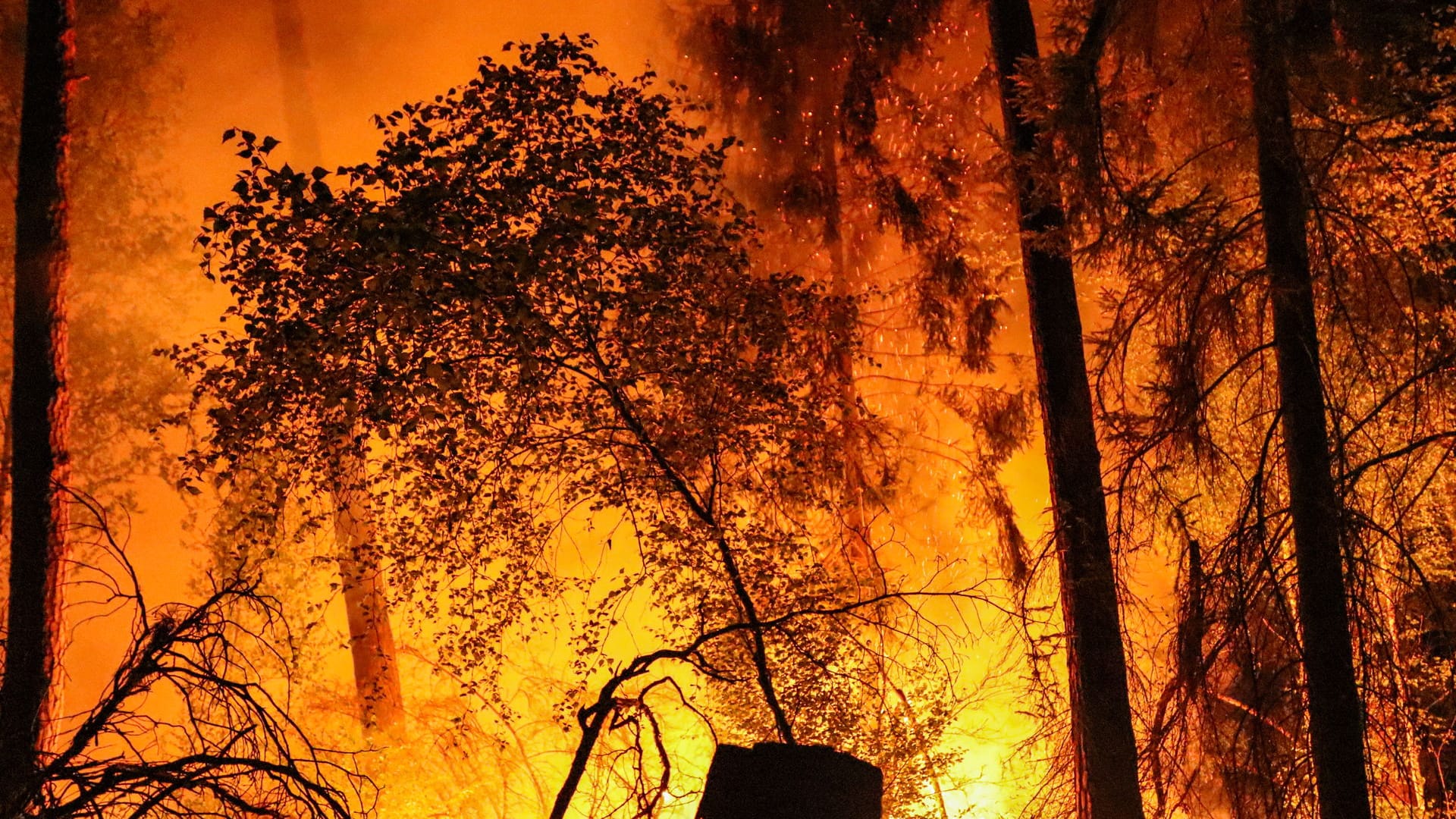 Ausgedehnter Waldbrand in Hainstadt: Die Ursache des Feuers in Höhe des Waldparkplatzes Katzenbuckel zwischen Hainstadt und Obertshausen sei noch nicht bekannt,