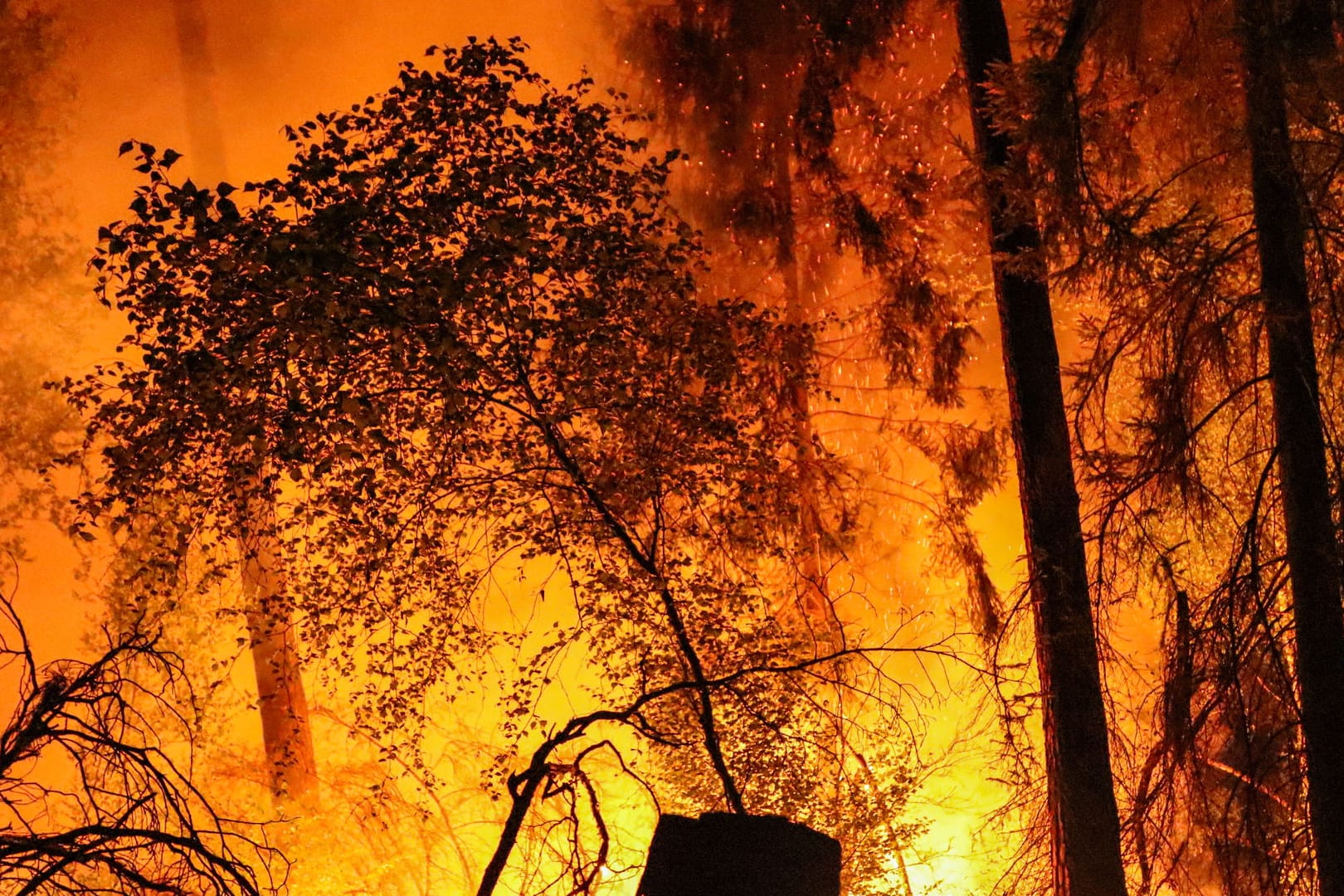 Ausgedehnter Waldbrand in Hainstadt: Die Ursache des Feuers in Höhe des Waldparkplatzes Katzenbuckel zwischen Hainstadt und Obertshausen sei noch nicht bekannt,